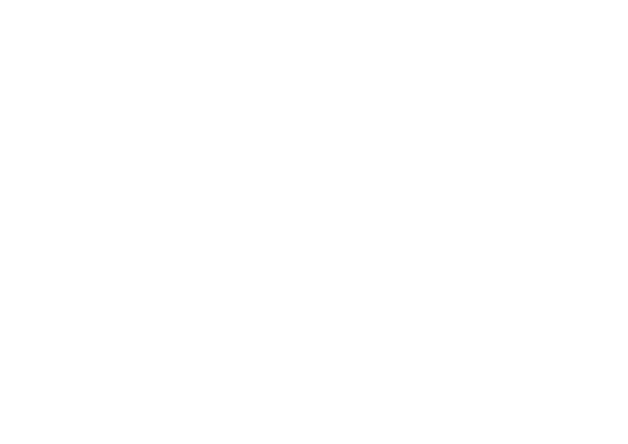 Animus Studios